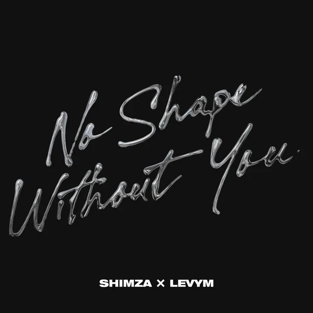 No Shape Without You (feat. LevyM) (AFRO HOUSE) 2026 Download mp3 • Judizeu News