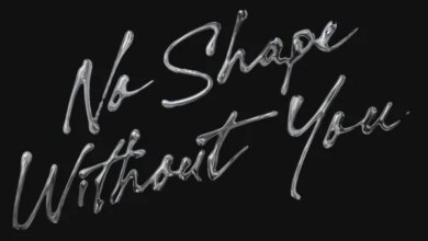 Shimza & LevyM - No Shape Without You Download Mp3