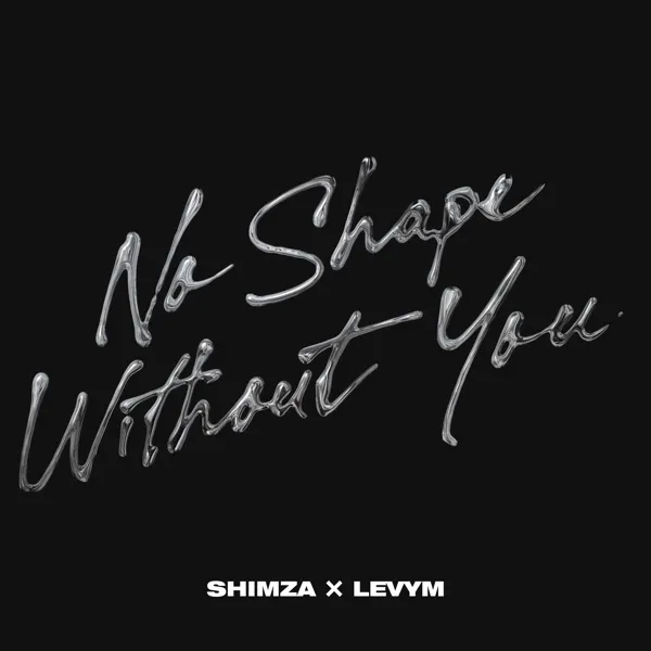 Shimza & LevyM - No Shape Without You Download Mp3