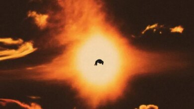 BeatsYARD & Echo Deep - The Sun Download Mp3