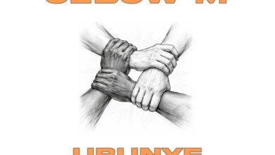 Cebow M & KingDonna - Jumble Download Mp3