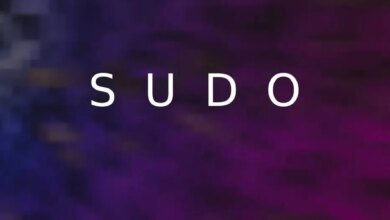 Dee Cee - SUDO (Original Mix) Download Mp3