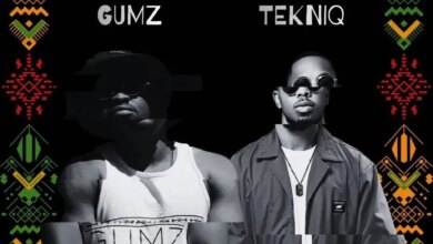 Gumz & TekniQ - Promised Land Download Mp3