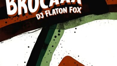 DJ Flaton Fox - Brocaaa Download Mp3