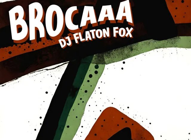 DJ Flaton Fox - Brocaaa Download Mp3