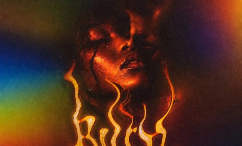 FIDDLA - Burn Download Mp3