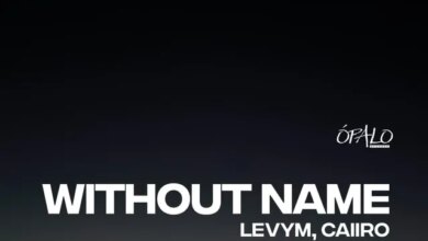 LevyM & Caiiro - Without Name Download Mp3