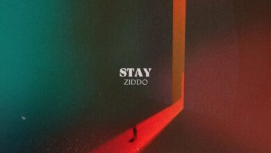 ZIDDO - Stay Download Mp3