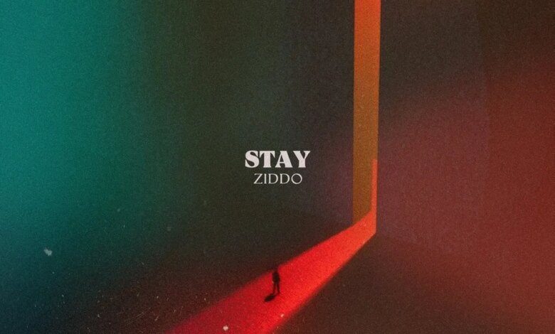 ZIDDO - Stay Download Mp3
